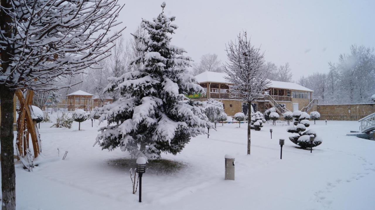 Gabala Yeddi Gozel Hotel Exteriör bild