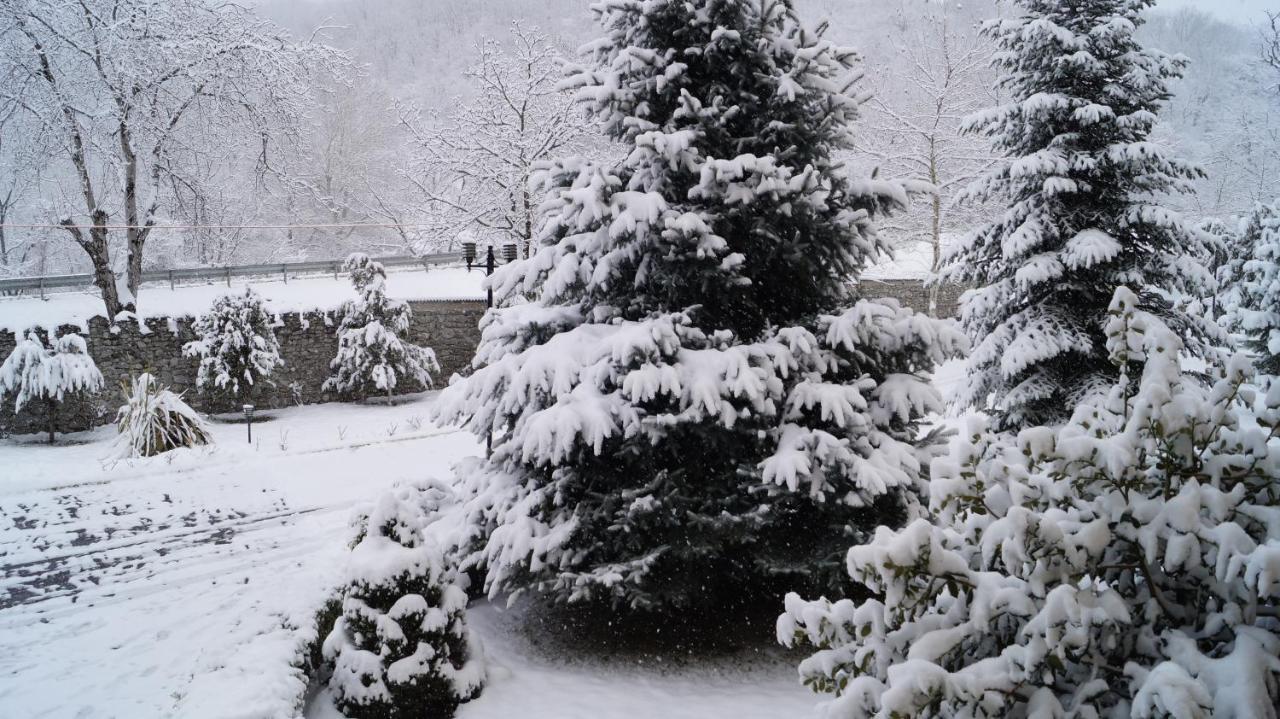 Gabala Yeddi Gozel Hotel Exteriör bild